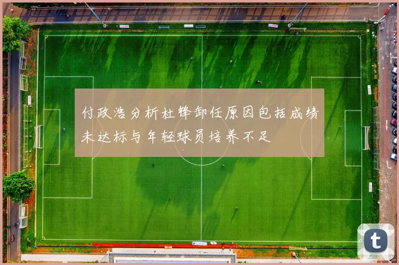 付政浩分析杜锋卸任原因包括成绩未达标与年轻球员培养不足